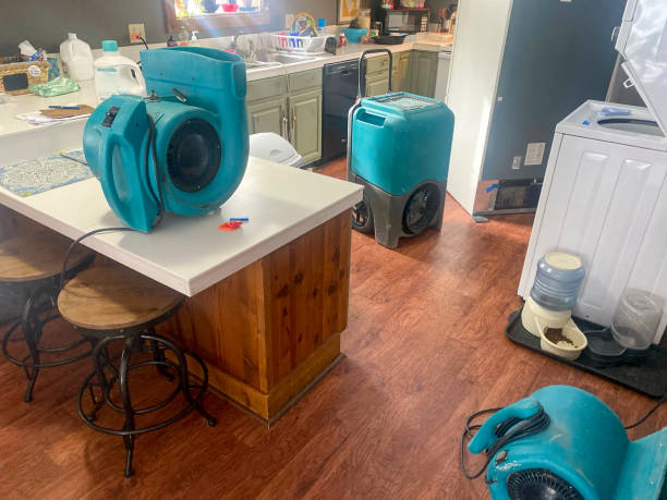 Best Water damage contractors near me  in Belmont Estates, VA