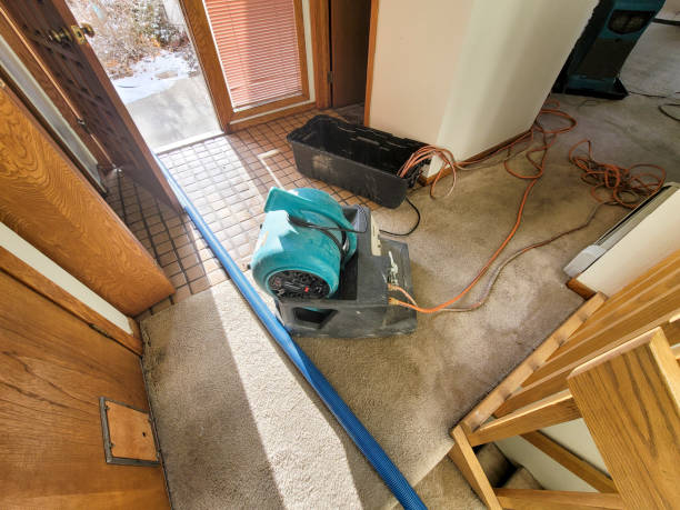 Best Sewage cleanup and water damage restoration  in Belmont Estates, VA