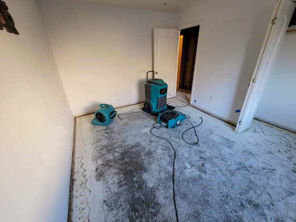 Best Water damage restoration process  in Belmont Estates, VA