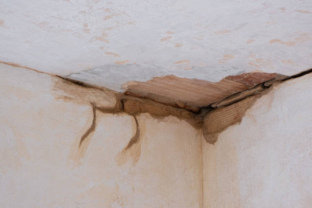 Best Carpet water damage restoration  in Belmont Estates, VA
