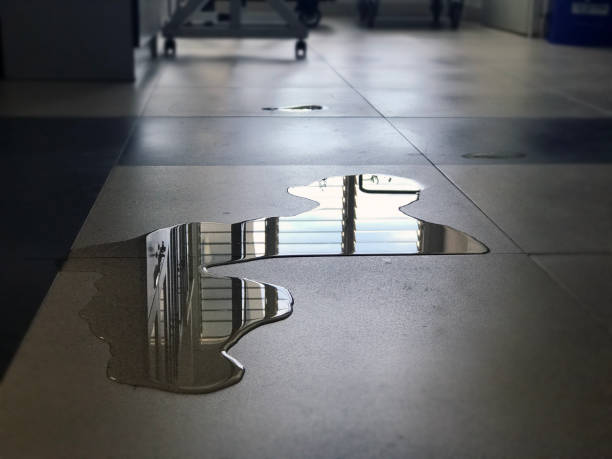 Trusted VA Water damage restoration Experts