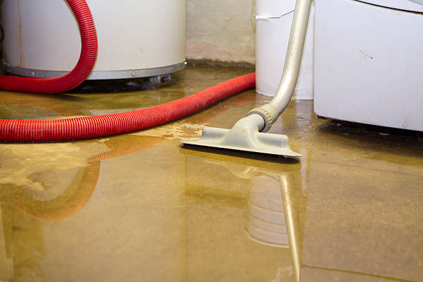 Best 24-hour water damage restoration  in Belmont Estates, VA