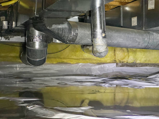 Best Water damage restoration specialists  in Belmont Estates, VA