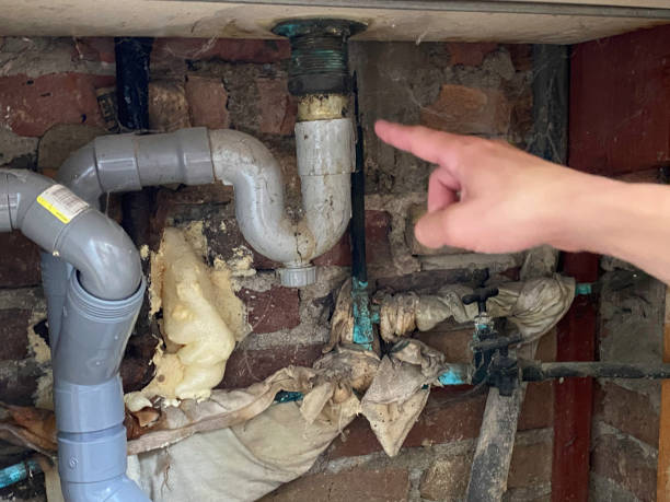 Best Sewage cleanup and water damage restoration  in Belmont Estates, VA