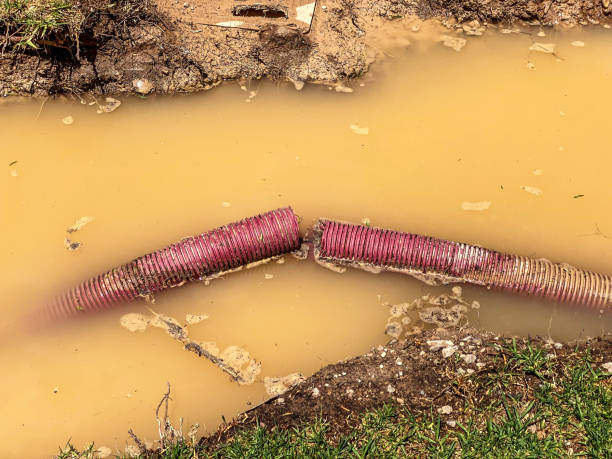Best Flood restoration services  in Belmont Estates, VA