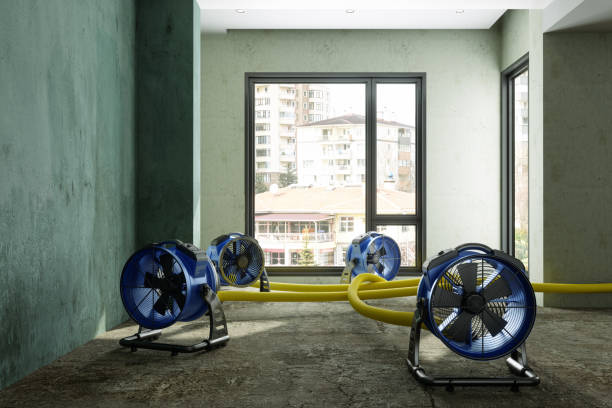 Best Ceiling water damage repair  in Belmont Estates, VA