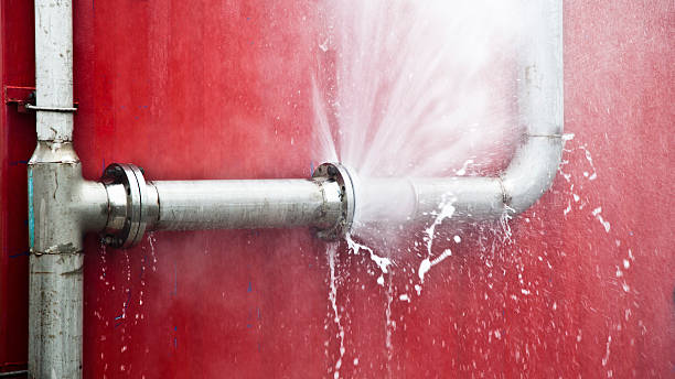 Best Professional water damage repair  in Belmont Estates, VA