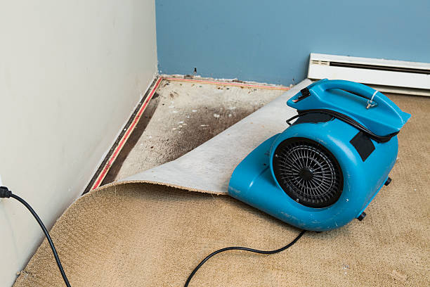 Best Residential water damage restoration  in Belmont Estates, VA